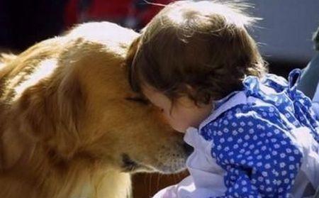 Fapt demonstrat ştiinţific. Câinele chiar e cel mai bun prieten al omului 166727