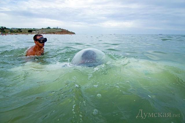 Căpitanul Nemo, varianta ucraineană. Şi-a construit propriul submarin în garaj 167307