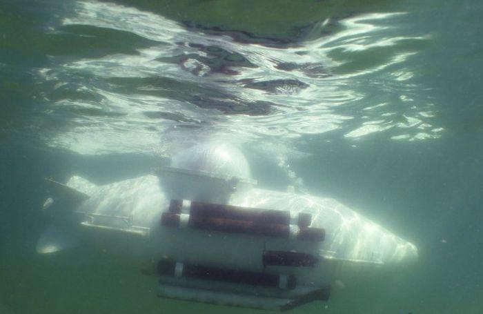 Căpitanul Nemo, varianta ucraineană. Şi-a construit propriul submarin în garaj 167312