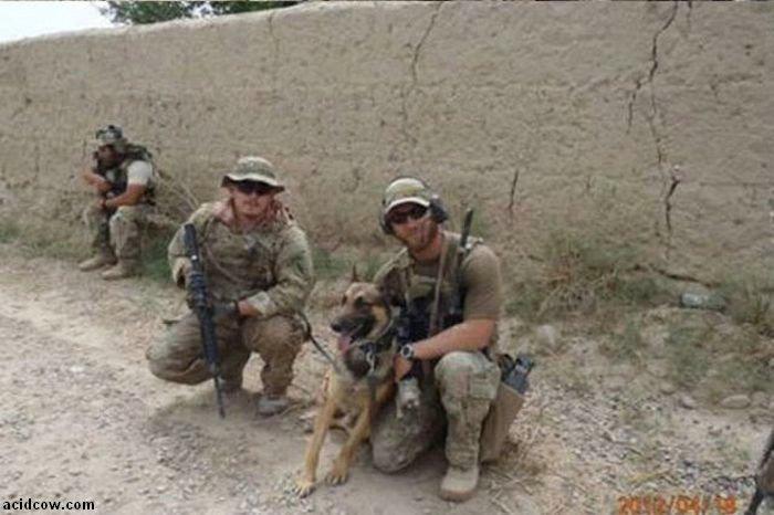 Este cea mai frumoasă poveste de dragoste. Detaliul din aceste imagini îţi poate schimba viaţa 168145