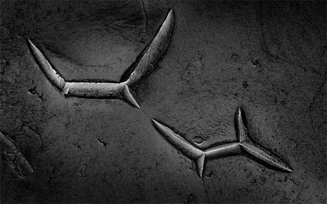 Când mâncarea se transformă în artă. Cum poţi să-ţi decorezi pereţii cu tort de ciocolată sau ţelină 168392