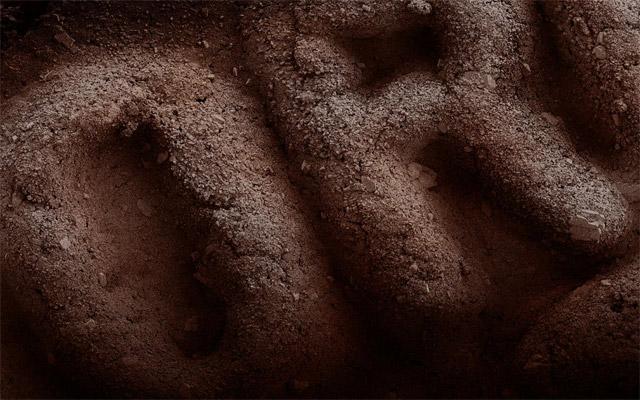 Când mâncarea se transformă în artă. Cum poţi să-ţi decorezi pereţii cu tort de ciocolată sau ţelină 168395