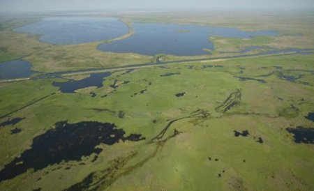Delta Dunării DISPARE într-o sută de ani! Cum a ajuns la această concluzie un cercetător român din SUA