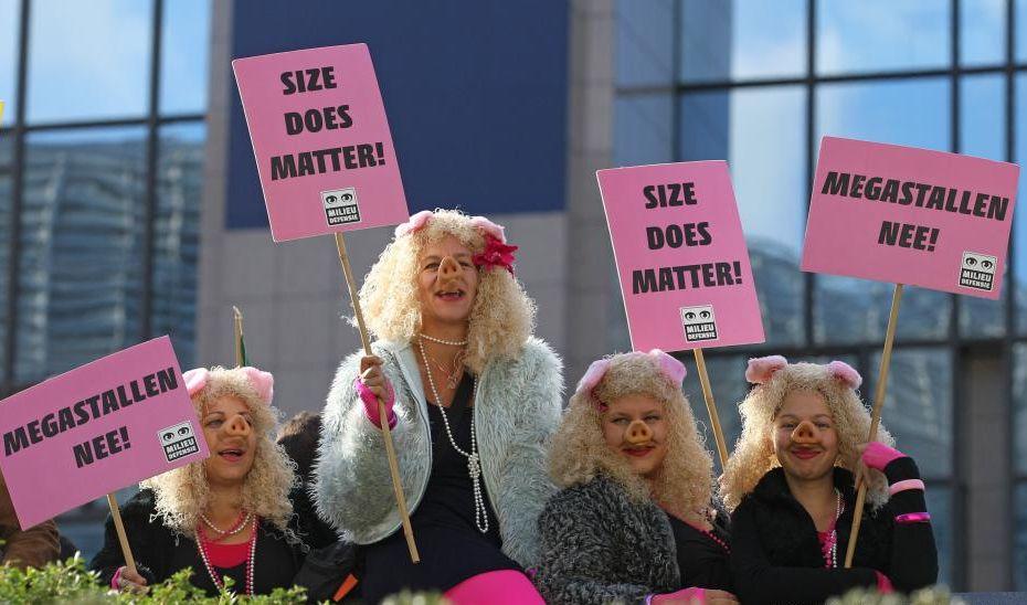 Agricultorii din toată Europa protestează la Bruxelles pentru o politică agricolă corectă şi prietenoasă cu mediul 168682