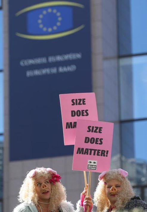 Agricultorii din toată Europa protestează la Bruxelles pentru o politică agricolă corectă şi prietenoasă cu mediul 168683