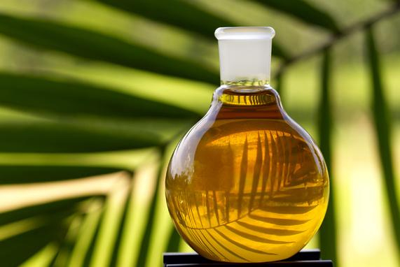Romanian govt keen to develop entry port for palm oil