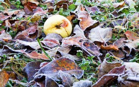 Vestea proastă pe care ne-o dau meteorologii. Pregătiţi-vă haine groase pentru restul săptămânii 168627