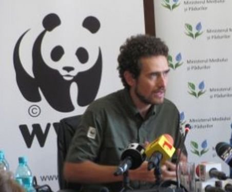 WWF România: Trebuie făcut un recensământ al populaţiei de urşi şi identificate habitatele acestor animale 