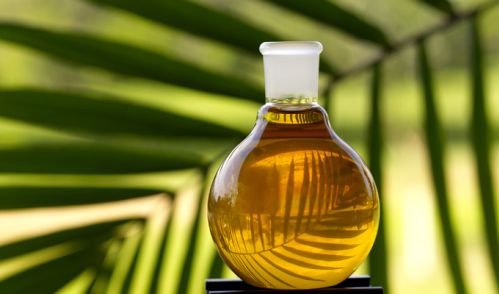 Income Magazine: Uleiul de palmier, o comoară pentru multe domenii