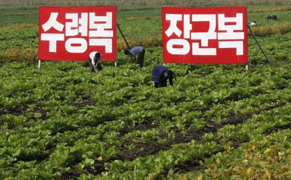 Coreea de Nord ar putea introduce reforme în agricultură: Ţăranii vor putea păstra o parte mai mare din recoltă
