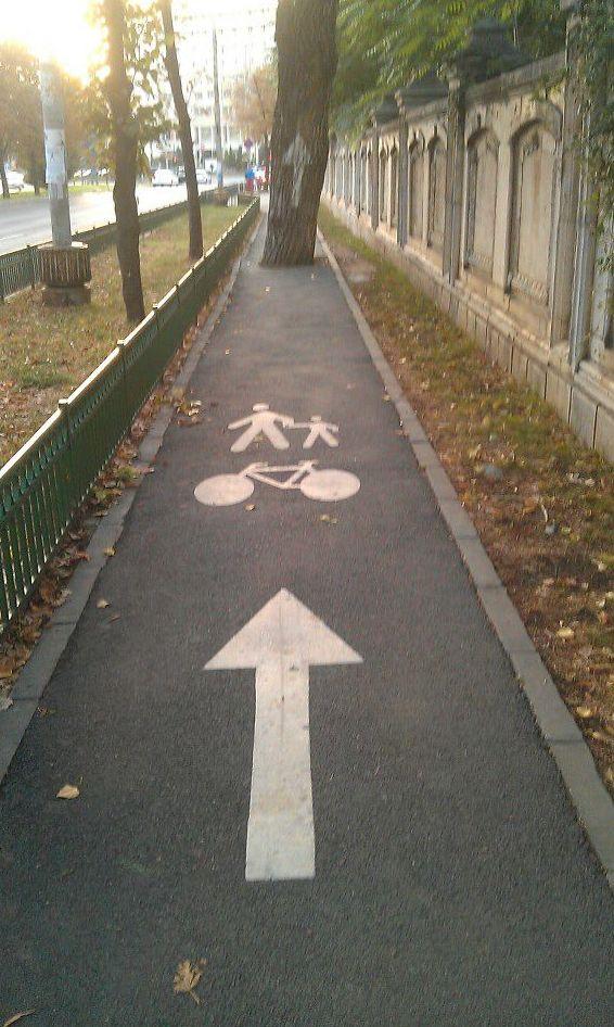 Imaginea din România care îi nedumereşte pe internauţi. Ce caută copacul în mijlocul pistei de biciclişti?  169514