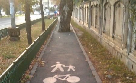 Imaginea din România care îi nedumereşte pe internauţi. Ce caută copacul în mijlocul pistei de biciclişti? 