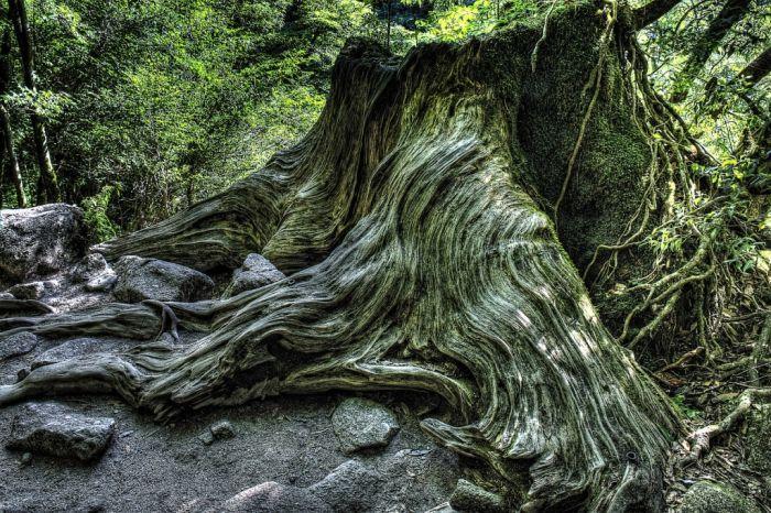 &quot;Aici zeii vin să se odihnească&quot;. Frumuseţea mistică a acestui loc a vrăjit întreaga lume 170762