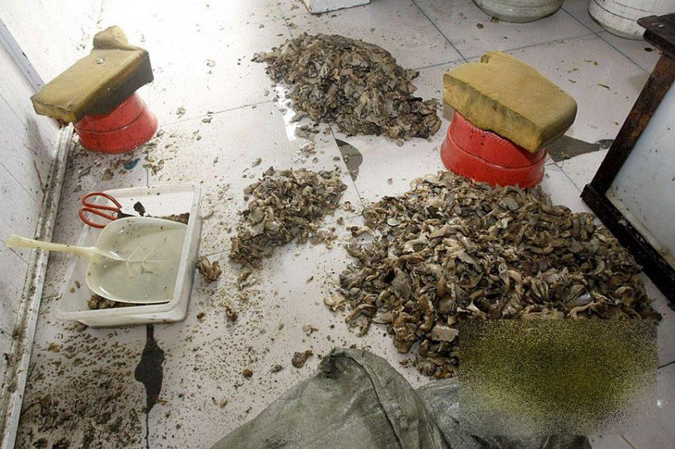 Cum îşi bat joc chinezii de milioane de oameni. Unde se fabrică cel mai vândut produs al lor: &quot;Seamănă cu un WC public de la noi&quot; 170909