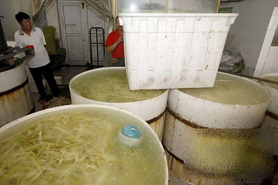 Cum îşi bat joc chinezii de milioane de oameni. Unde se fabrică cel mai vândut produs al lor: &quot;Seamănă cu un WC public de la noi&quot; 170910