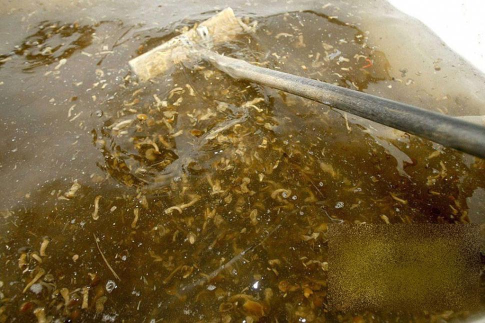 Cum îşi bat joc chinezii de milioane de oameni. Unde se fabrică cel mai vândut produs al lor: &quot;Seamănă cu un WC public de la noi&quot; 170911