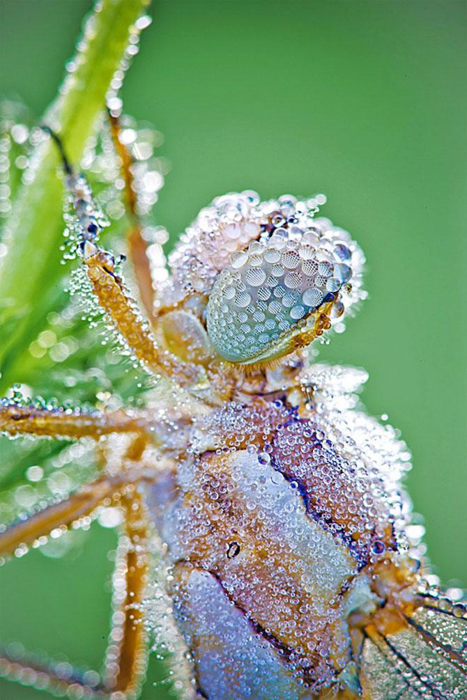 Natura e cel mai bun artist. Iată dovada! 171003