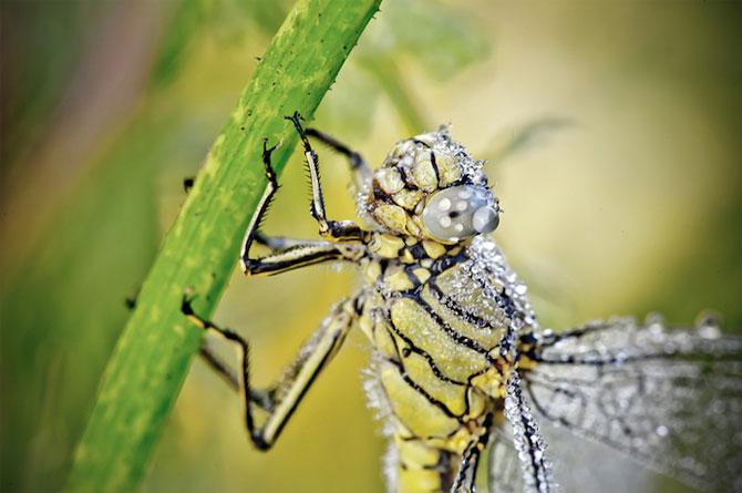 Natura e cel mai bun artist. Iată dovada! 171005