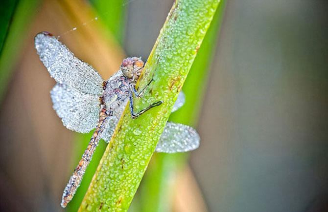 Natura e cel mai bun artist. Iată dovada! 171007