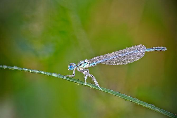 Natura e cel mai bun artist. Iată dovada! 171013
