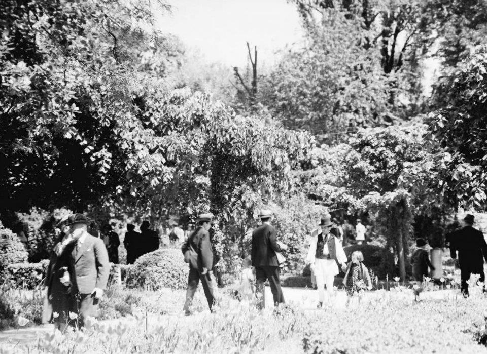 Bucureştiul bunicilor noştri. Imagini impresionante din perioada interbelică 171611