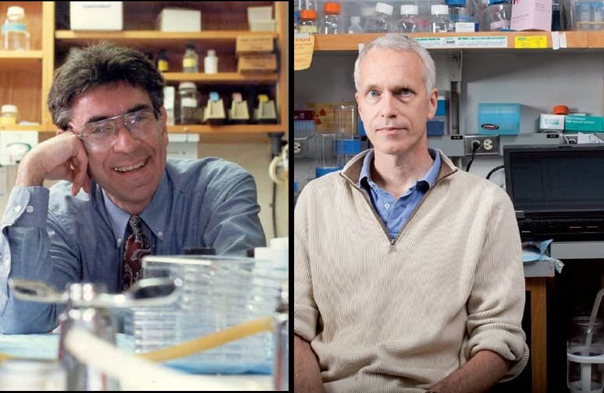 Premiul Nobel pentru chimie a fost acordat americanilor Robert Lefkowitz şi Brian Kobilka
