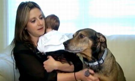 O întâmplare care îţi încălzeşte inima. Încă o dovadă că cel mai bun prieten al omului este căţelul 172960