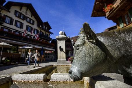 Elveţia organizează un referendum privind sistemul de taxe pentru străinii bogaţi