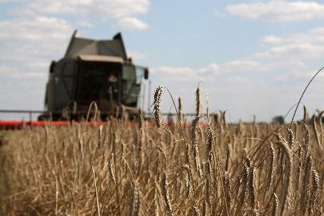 Ucraina interzice exporturile de grâu, începând din luna noiembrie