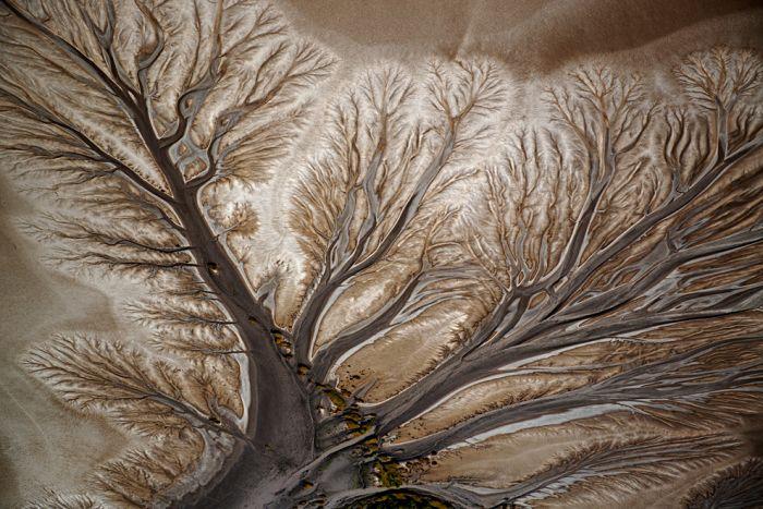 Concursul în care nu există pierzători. Cele mai frumoase fotografii marca National Geographic 173776