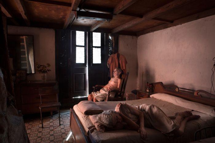 Concursul în care nu există pierzători. Cele mai frumoase fotografii marca National Geographic 173785