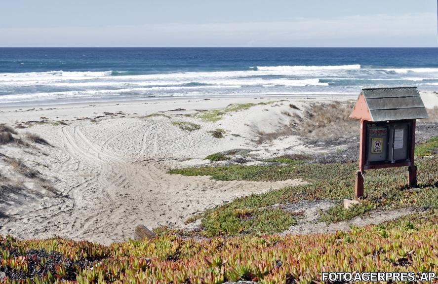 Un surfer a fost ucis de un rechin în California