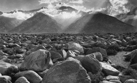 &quot;Pentru prima oară, ştiu ce e dragostea, ce sunt prietenii şi ce ar trebui să fie arta&quot; 174516