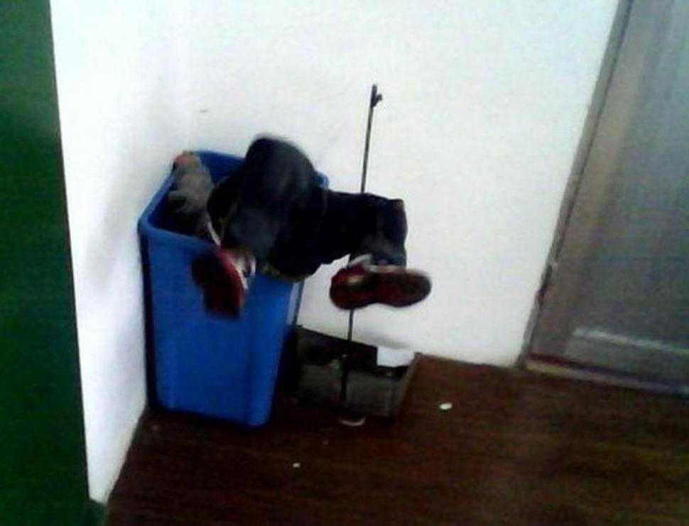 IMAGINI REVOLTĂTOARE. Educatoarea care îşi arunca elevii la coş, sau îi bătea cu făraşul în cap 174685