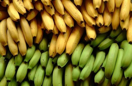 Efectele schimbărilor climatice. Bananele vor înlocui cartofii în statele în curs de dezvoltare