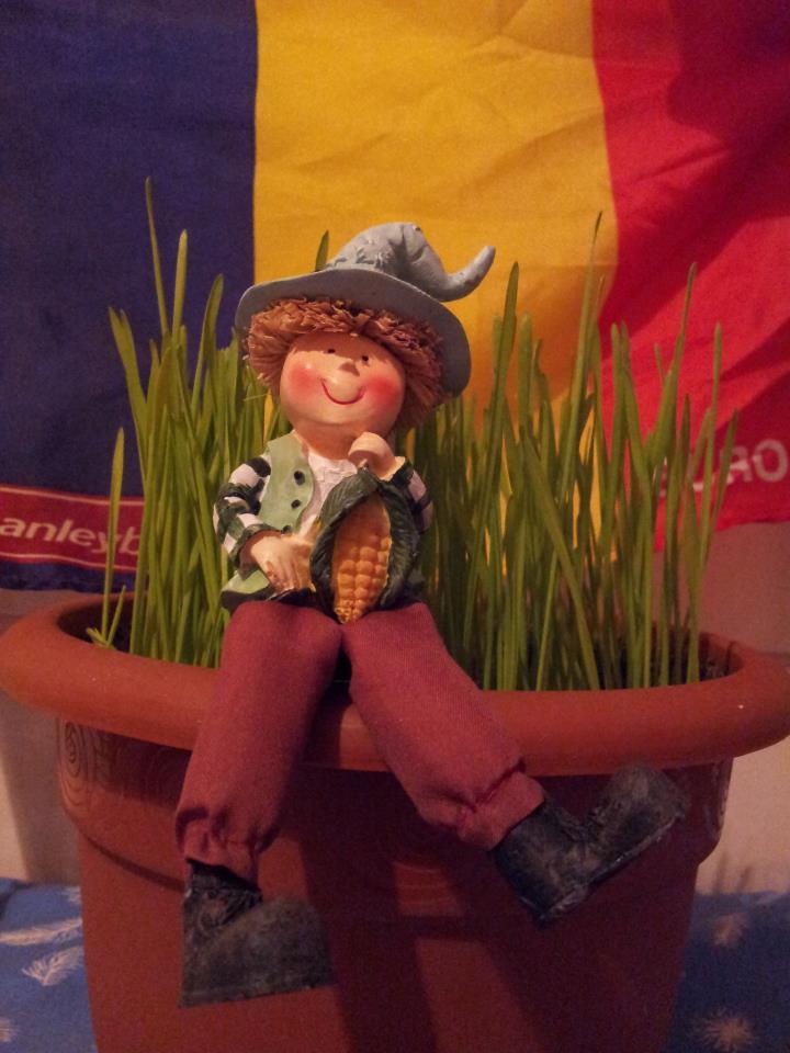 "Fii tare ca o stâncă şi nu uita că eşti româncă". Mii de mesaje impresionante au fost postate pe pagina de Facebook "Drapelul României" 176994