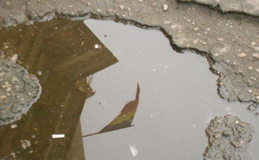 &quot;Nu-mi este ruşine că sunt româncă, ba chiar o spun tare şi cu fruntea sus&quot;. Peste 4.000 de români s-au alăturat campaniei &quot;Pe tricolor e scris UNIRE&quot;  177155