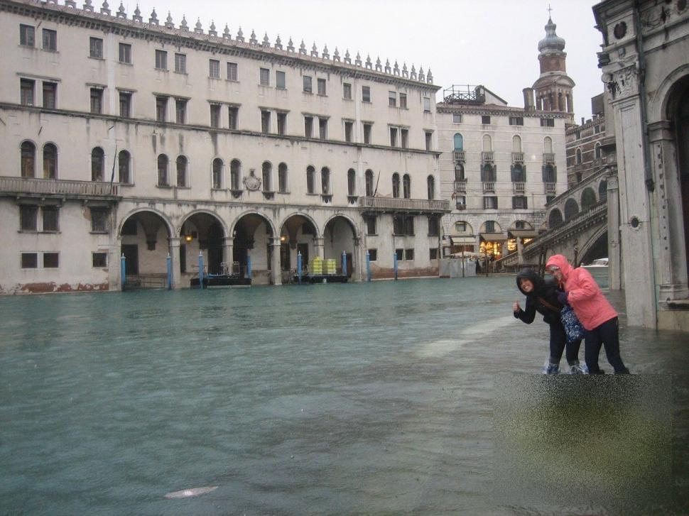 Milioane de oameni plâng când văd aceste imagini. FOTOREPORTAJ din mijlocul unui dezastru uriaş 177652