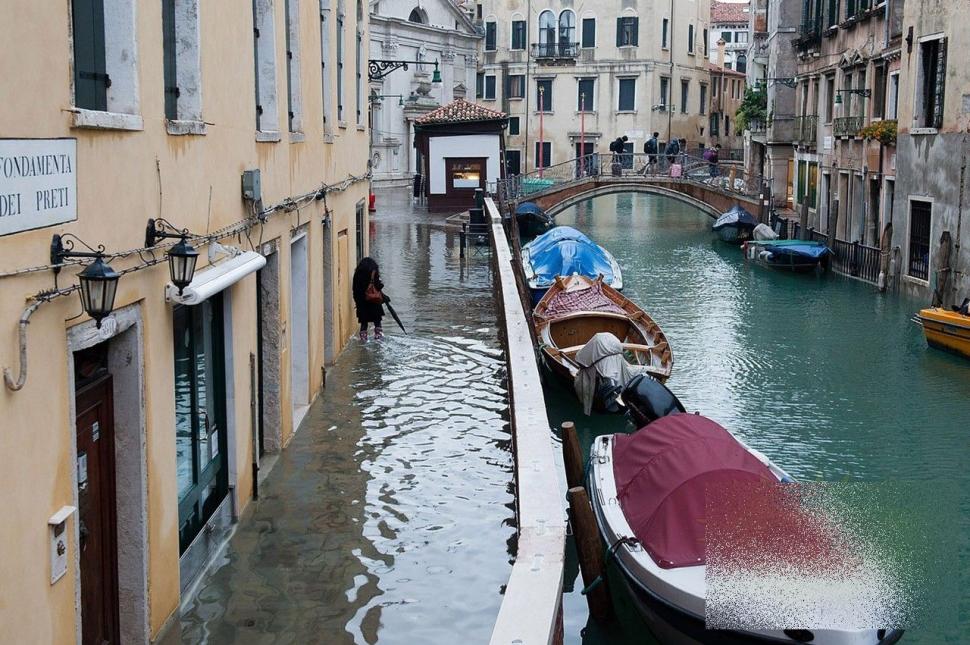 Milioane de oameni plâng când văd aceste imagini. FOTOREPORTAJ din mijlocul unui dezastru uriaş 177658