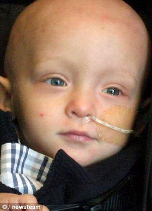 Albumul de nuntă ascunde cel mai sfâşietor detaliu. Cineva din această fotografie mai are doar două săptămâni de viaţă 179059