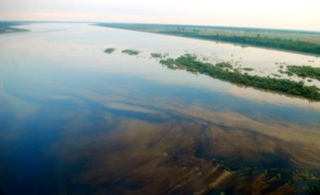Ecosistemul Dunării, în pericol după scufundarea unei nave în largul portului Ruse