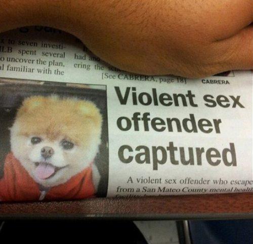 „BREAKING NEWS. Bush: unul dintre cele mai mari dezastre care au lovit SUA” 179946