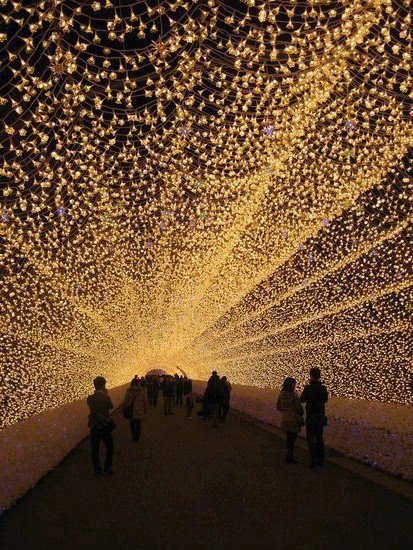 Tunelul luminilor, imaginea reală care fascinează mii de oameni. Unde a fost făcută fotografia