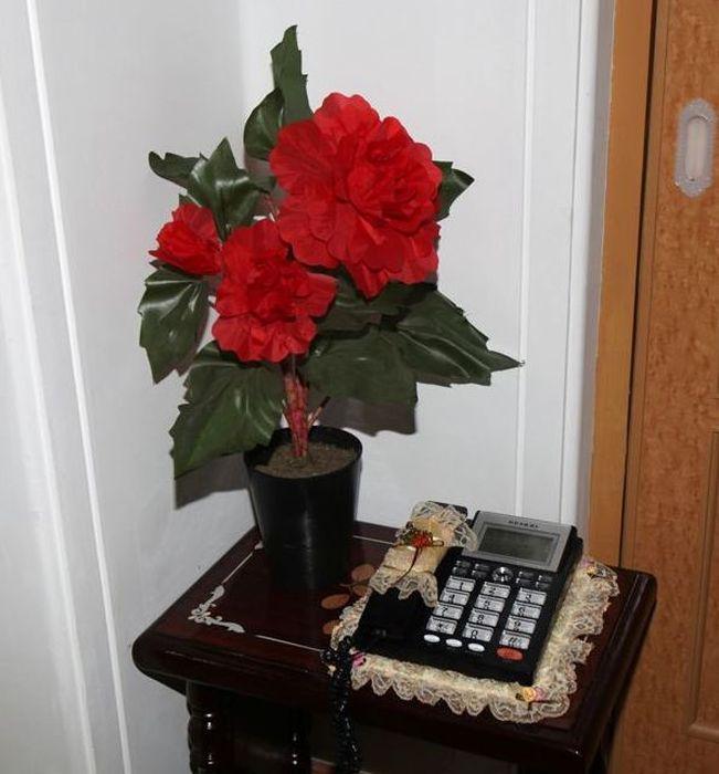 Până unde merge propaganda în Coreea de Nord. Liderul Kim Jong Un a vizitat una din aceste "minuni" 180000