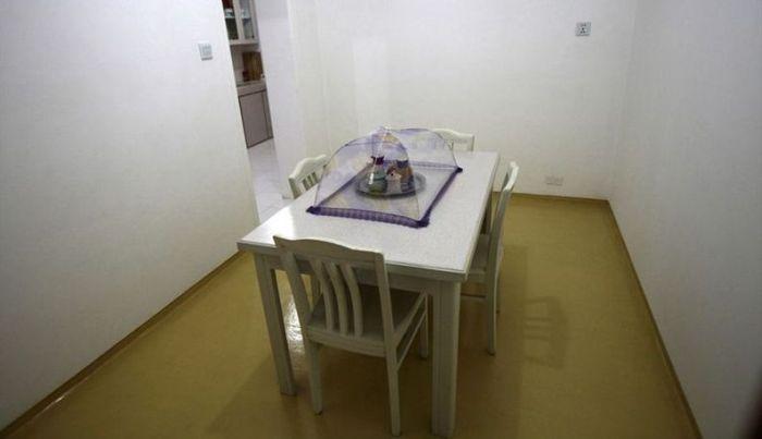 Până unde merge propaganda în Coreea de Nord. Liderul Kim Jong Un a vizitat una din aceste "minuni" 180005