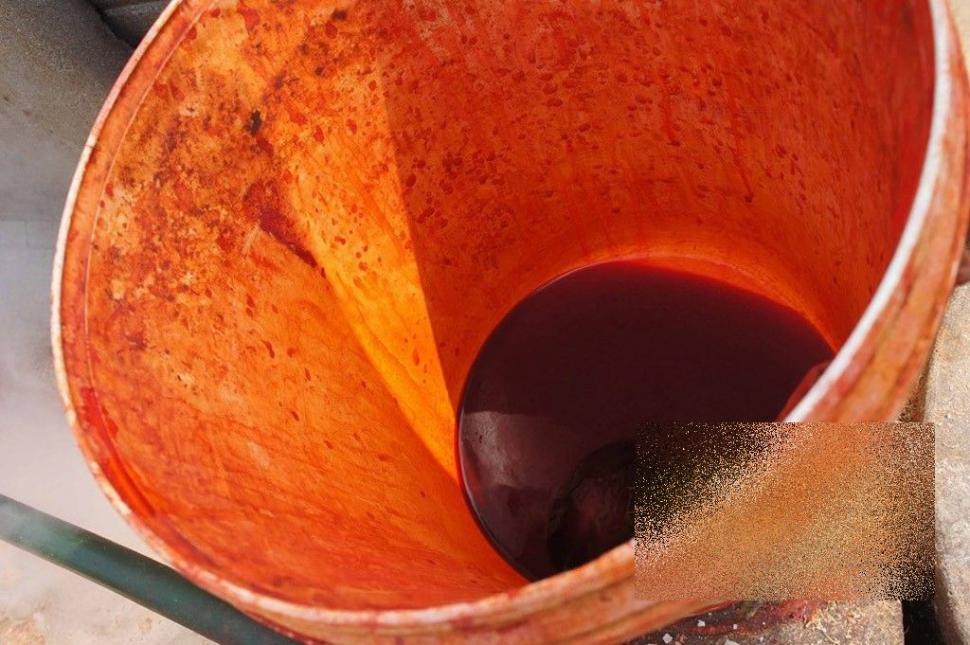 Ce fac chinezii înainte de a pune creveţii pentru export în pungi. Procedeul te va şoca 180225