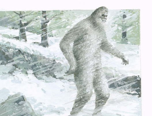 O femeie a dat naştere faimosului monstru al zăpezilor? Testele ADN au elucidat misterul lui Yeti
