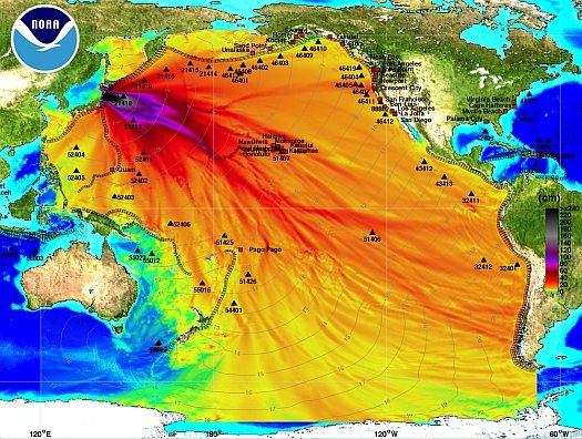 Un tsunami şi şapte replici, după cutremurul de 7,3 pe Richter din Japonia. Populaţia începe să-şi părăsească locuinţele