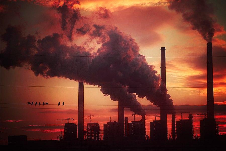 O româncă de 18 ani, în finala concursului "Travel Photographer of the Year 2012" 182900