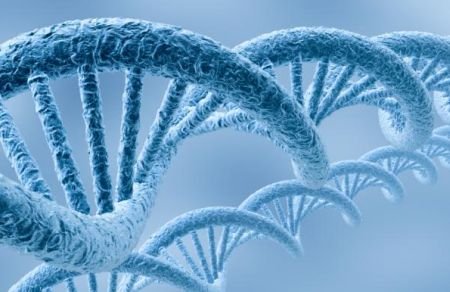 &quot;Trebuie să depăşim graniţele cercetării ştiinţifice&quot;. Britanicii vor să creeze o bază de stocare a ADN-ului uman